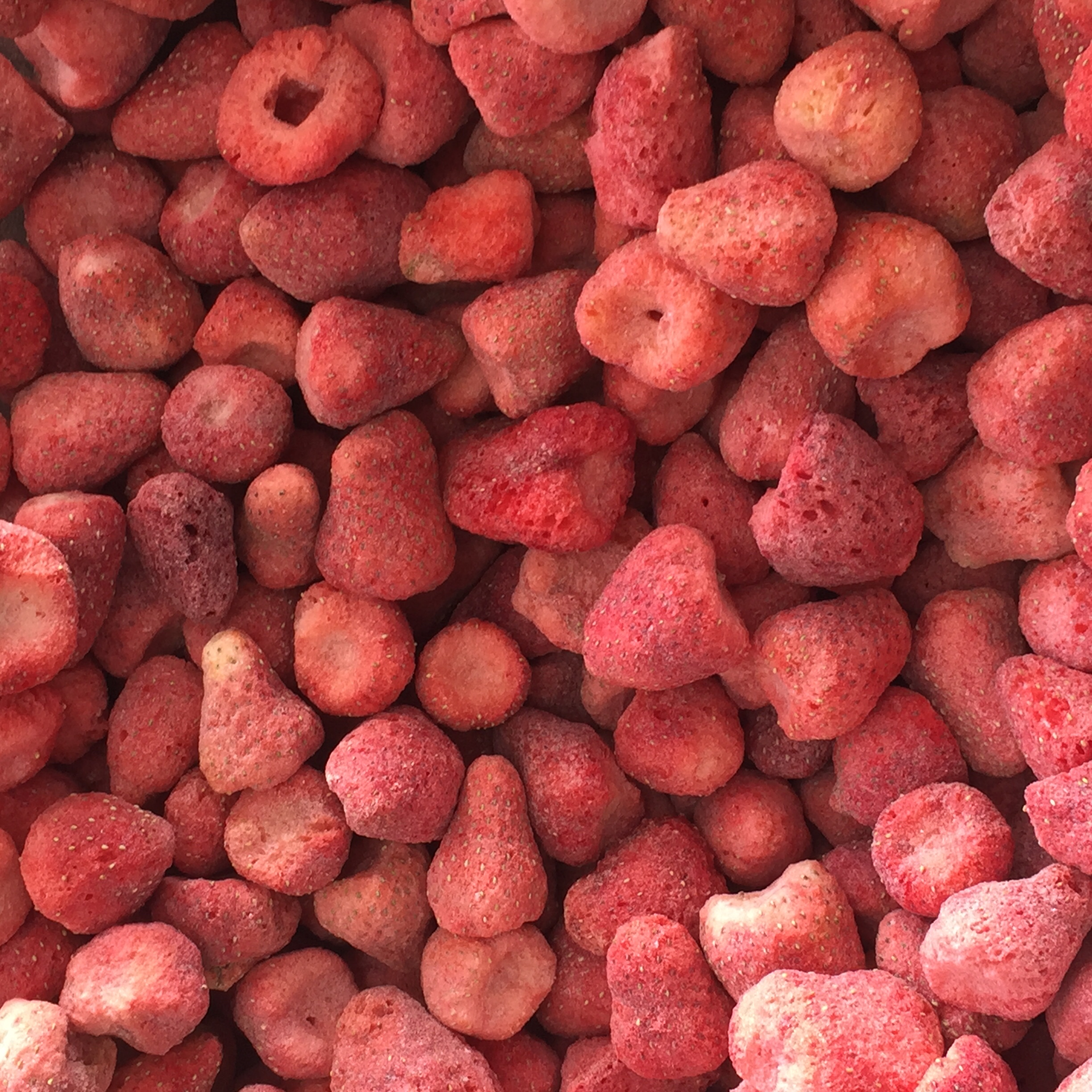 Stroberi freeze dried close-up