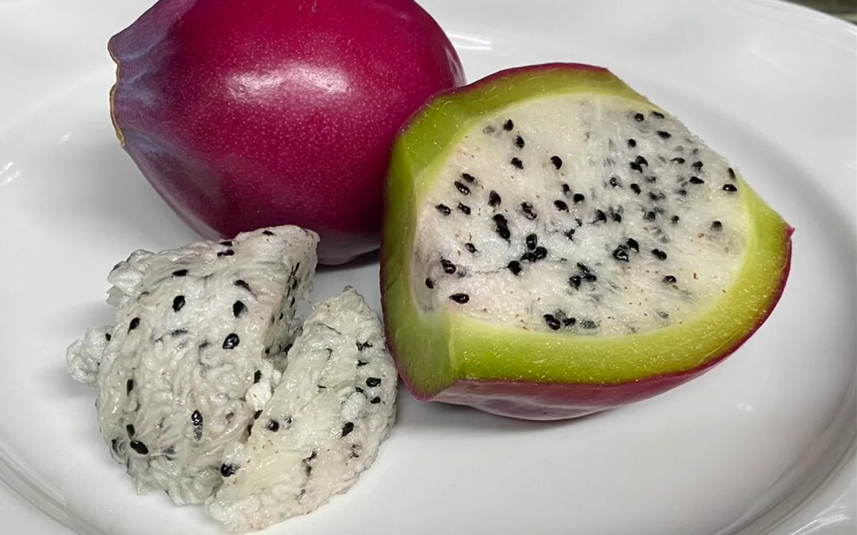 Foto editorial tentang freeze dried buah tropis Indonesia