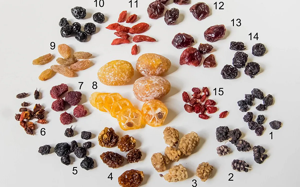 Foto editorial tentang nutrisi freeze dried vs kering biasa