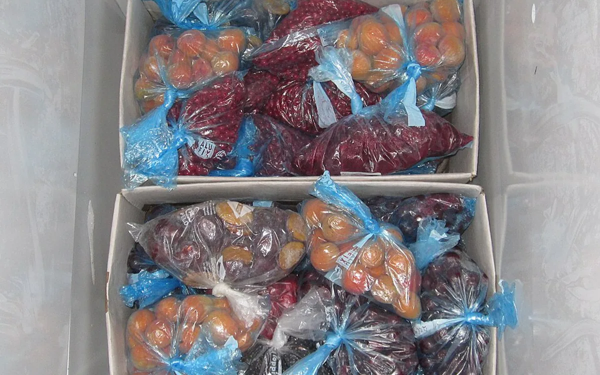 Foto editorial tentang freeze drying rantai pasok